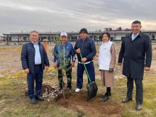 Активисты Единой России в г. Кызыле участвуют в проекте «Городская среда»