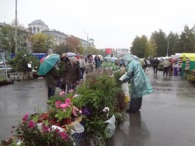 Рабочие заседания и мероприятия