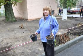 «Единая Россия» приняла участие в акции «Посади дерево»