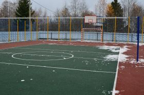Педагоги области обменялись опытом реконструкции спортивных площадок в рамках проекта «Детский спорт»