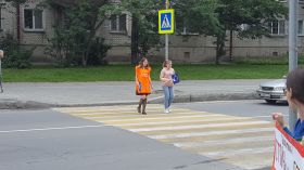 Проект «Лайк водителю»-новая форма взаимодействия водителей и пешеходов
