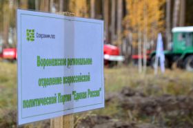 Владимир Нетёсов принял участие в высадке леса
