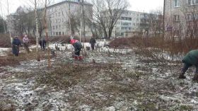 В Рыбинске завершили расчистку территории для посадки аллеи памяти