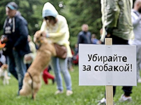"Школа грамотного потребителя" на Камчатке запускает акцию "За своей собакой убирать не стыдно!"