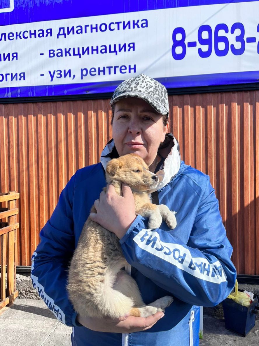 В «Кызыле» прошла ярмарка-раздача бездомных животных в рамках партийного проекта «Защита животного мира»