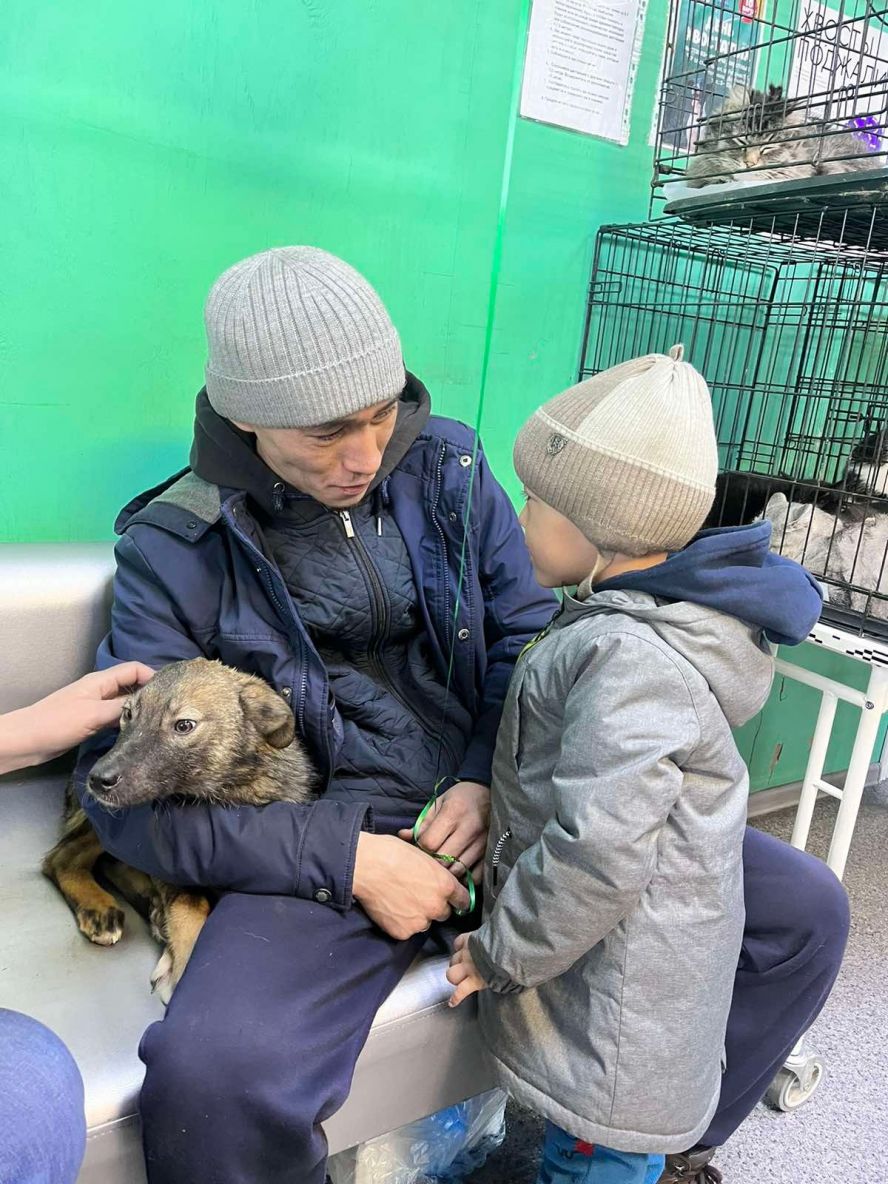 В «Кызыле» прошла ярмарка-раздача бездомных животных в рамках партийного проекта «Защита животного мира»